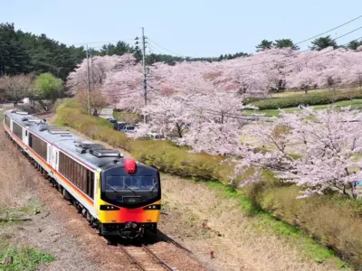 桜も海も楽しめる！五能線沿線のまちで6年ぶりのお花見イベント開催【秋田県八峰町】