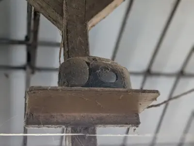 牛のおいしさの秘密は餌や自然、、だけじゃない！？牛舎に鳴り響くラジオミュージックの真価とは【長崎県壱岐市】
