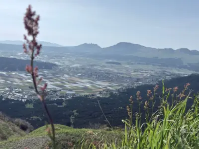「次の世代に手渡したい景色」阿蘇、5月——ゴールデンウィークの朝【熊本県阿蘇市】