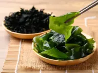 肌の酸化を防ぐ！海藻成分が肌を守る仕組みとは