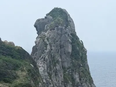 サルにそっくり！？神々の島に浮かぶ奇岩「猿岩」【長崎県壱岐市】