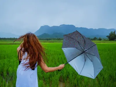 梅雨に体がだるいのはなぜ？東洋医学で読み解く湿邪と美容への影響