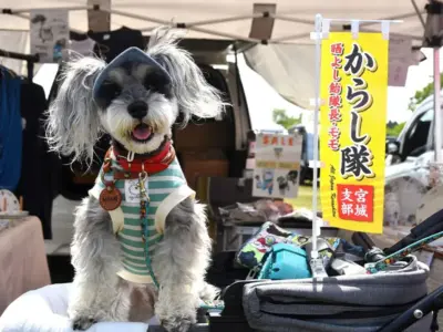 震災から歩みを重ねて～犬と人がつなぐペットイベント「うちの仔市場」開催【福島県富岡町】
