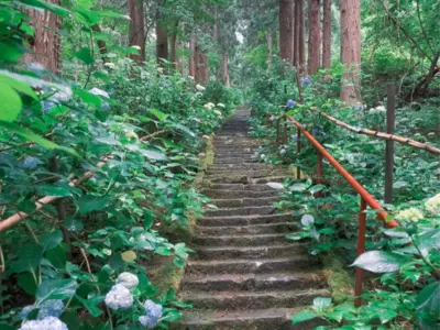 山形のあじさい寺「出塩文殊堂」で出会う夫婦杉の物語。「むらきざわあじさい祭り」開催中！【山形県山形市】