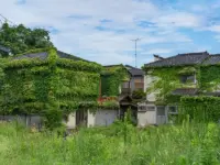 自治体から突然の通知？“空き家認定”を防ぐチェックポイント