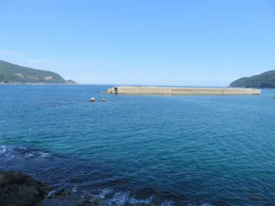 林野火災と津波避難含む複合型災害についてもう一度考え直す・渡邉貴裕レポート【岩手県大船渡市】