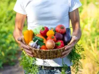 日本の野菜消費量が過去最低に：背景にある社会変化