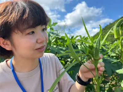 「オクラってこう生えんの⁉︎」​​​​さわって重さを確かめて。500グラムぴったりの野菜収穫に大学生も挑戦【秋田県湯沢市】