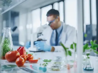 食の未来を変えるゲノム編集、倫理と安全性の境界線とは