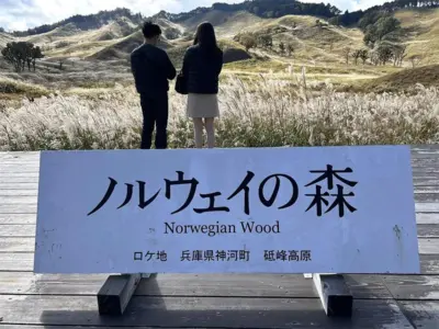 「恐竜時代の岩の上に立っている」氷期 × 風化 × 人の知恵が生んだ景観・砥峰高原を山歩(さんぽ)【兵庫県神河町】