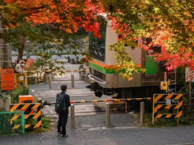子どもの頃と違って見えた鎌倉　大人になって出会う秋の紅葉【神奈川県鎌倉市】