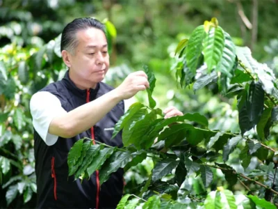 「コーヒーが飲めなくなる未来」をなくす。心にゆたかさをもたらす一杯を次の100年へつなぐキーコーヒーの覚悟【東京都港区】