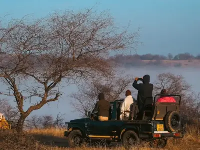 かつては虎が城を守っていた！虎との遭遇率トップクラスのタイガーサファリ「ランタンボール国立公園」【インド・サワイマドプール】