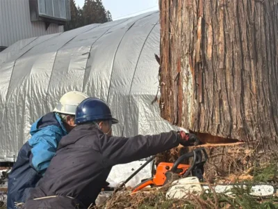 「なんでもやるんだ、生きるうちは」30m超えの杉の木に地元のレジェンドが立ち向かう！【秋田県湯沢市】