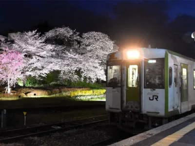 滝桜だけじゃもったいない！歴史と静寂に出会う隠れた桜の名所三選【福島県三春町】