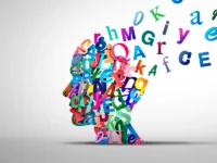 知っている言葉の数が「世界」を広げる：言語と認知の深い関係性