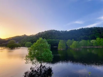 春限定の絶景「水没林」　夕景のダム湖に眠る集落の記憶【山形県米沢市】