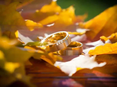 パートナーがいても孤独に備える時代——「結婚しない恋愛」が選ばれる理由