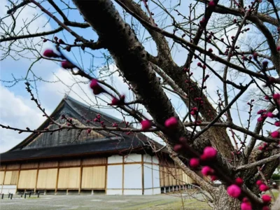 早朝の世界の魅力は「日常と旅行の合間」篠山早朝散歩＆朝カフェ会②【兵庫県丹波篠山市】