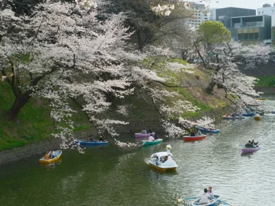 カメラがくれたのは、日常ではない新しい世界。千鳥ヶ淵を歩いて見つけた桜の絶景【東京都千代田区】