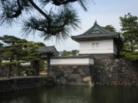 徳川家康が天下統一を急がなかった理由から学ぶ現代ビジネスの本質