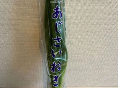 “あじさいねぎ”って何？松戸で広がる地元野菜の魅力【千葉県松戸市】