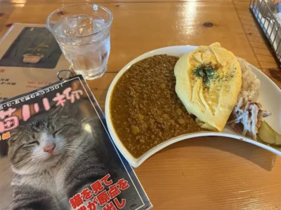 なぜマタタビという名前なのか？玄米を使ったこだわりの料理に、気まぐれな猫ちゃんも居る「マタタビcafe」【山形県山形市】