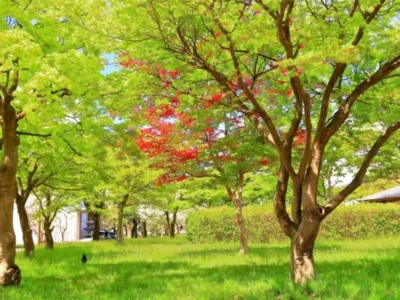 日本で初めて「女子大生」が生まれた大学はどこ？ 仙台で誕生した3人の女性たちを追う【宮城県仙台市】